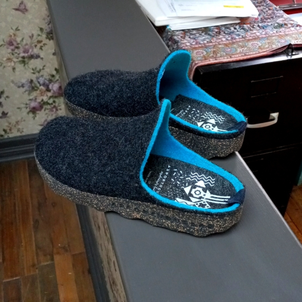 Asportuguesas wool clogs size 37. Worn only a couple times, never outside.